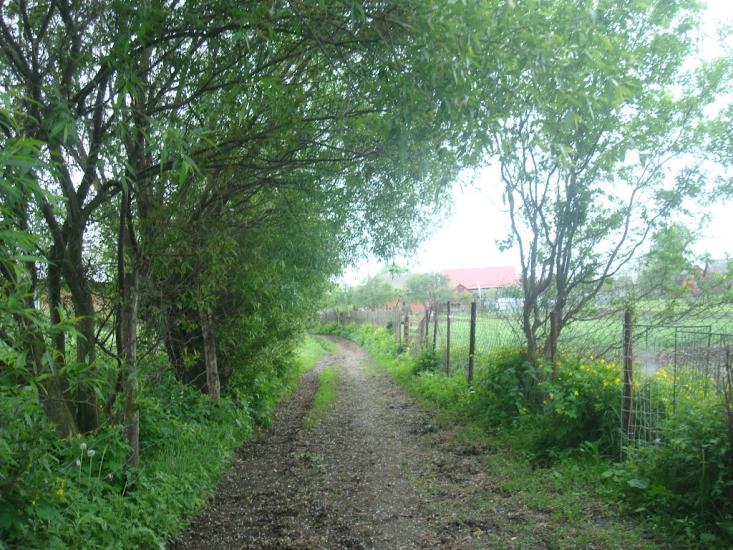 Малашівці з panoramio.com - Малашевцы