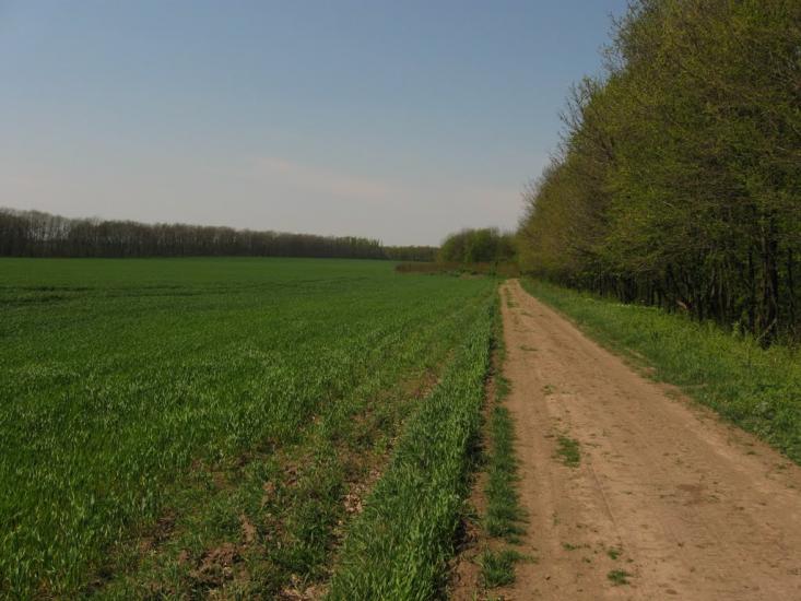 Кунка з panoramio.com - Кунка