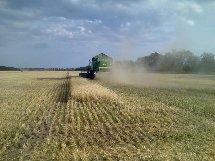 Велика Костромка з panoramio.com - Велика Костромка