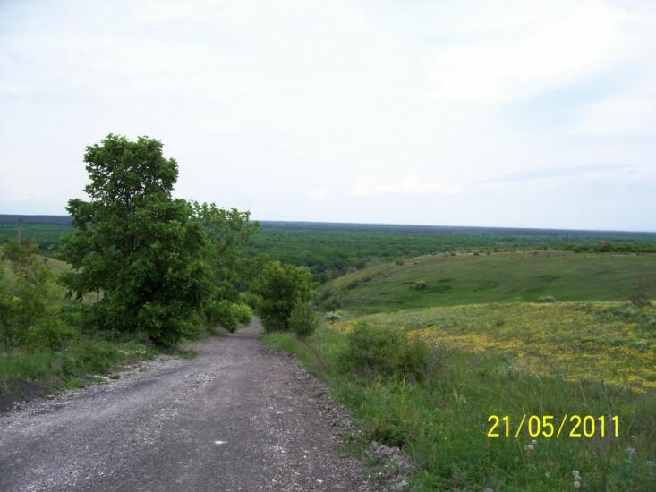 Пискунівка з panoramio.com - Pyskunivka