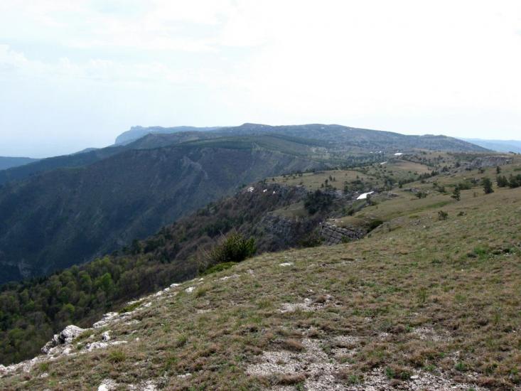 Відрадне з panoramio.com - Отрадное