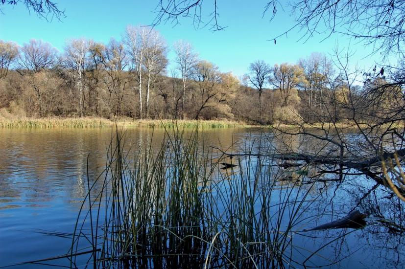 Шипилівка з panoramio.com - Shypylivka