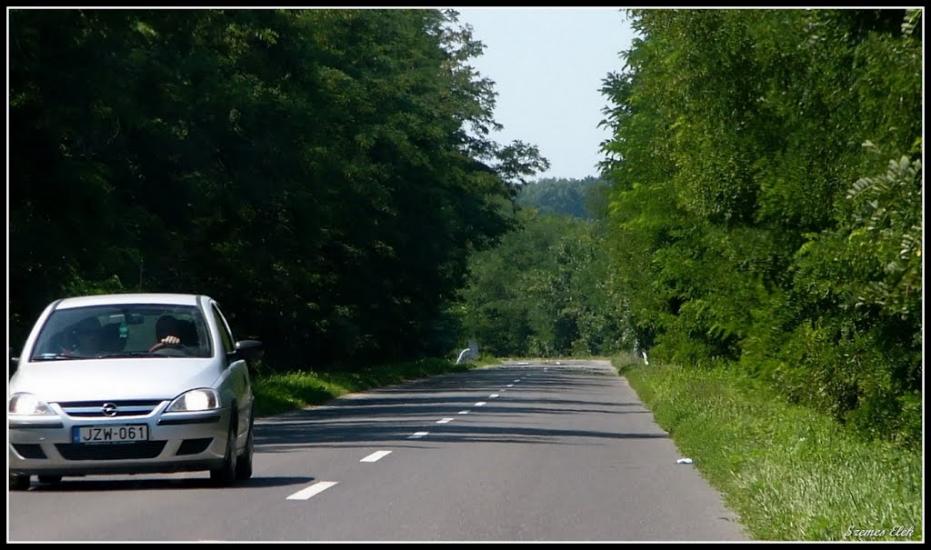 Бадалово з panoramio.com - Бадалово