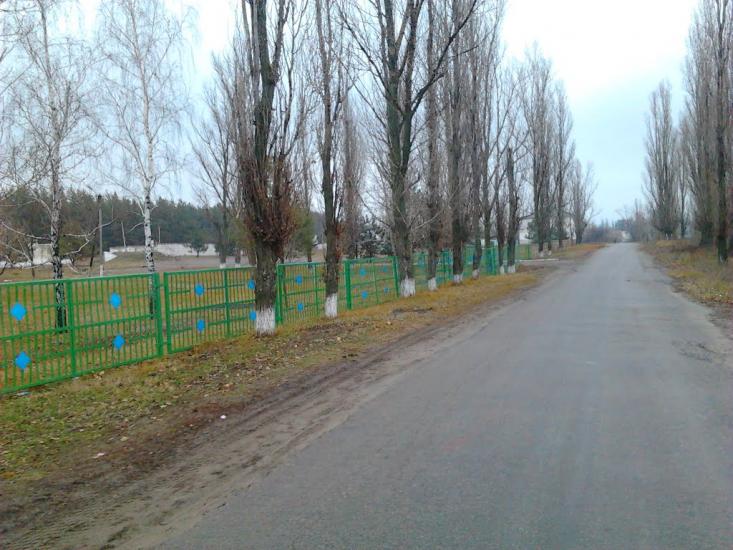Подоли з panoramio.com - Podoly