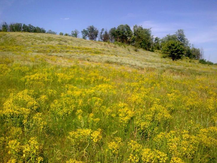 Горького з panoramio.com - Горького