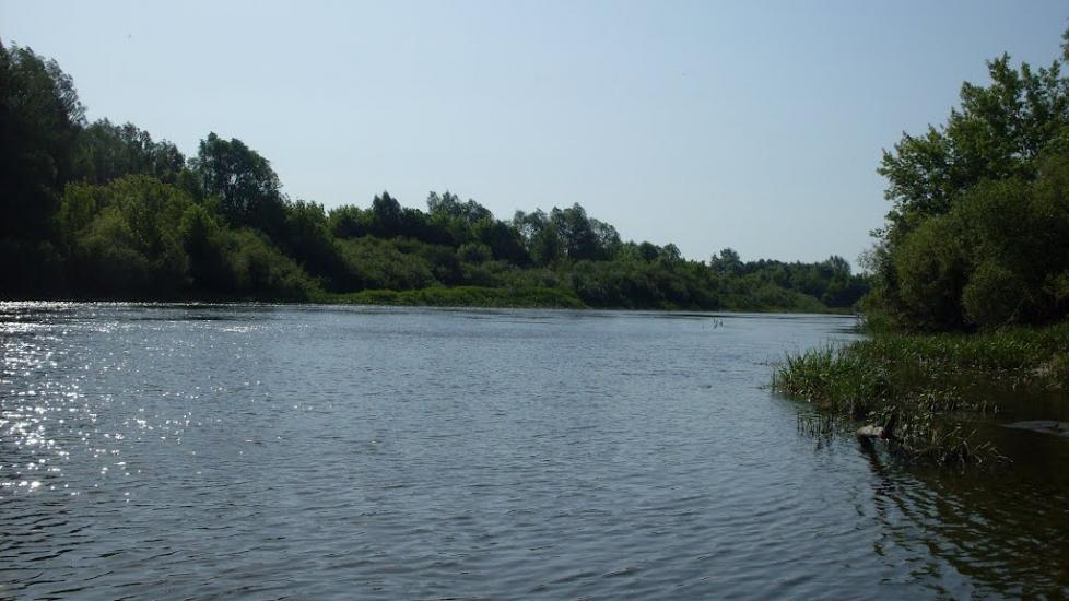Прилужжя з panoramio.com - Прилужье