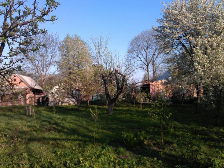 Великі Крушлинці з panoramio.com - Velyki Krushlyntsi