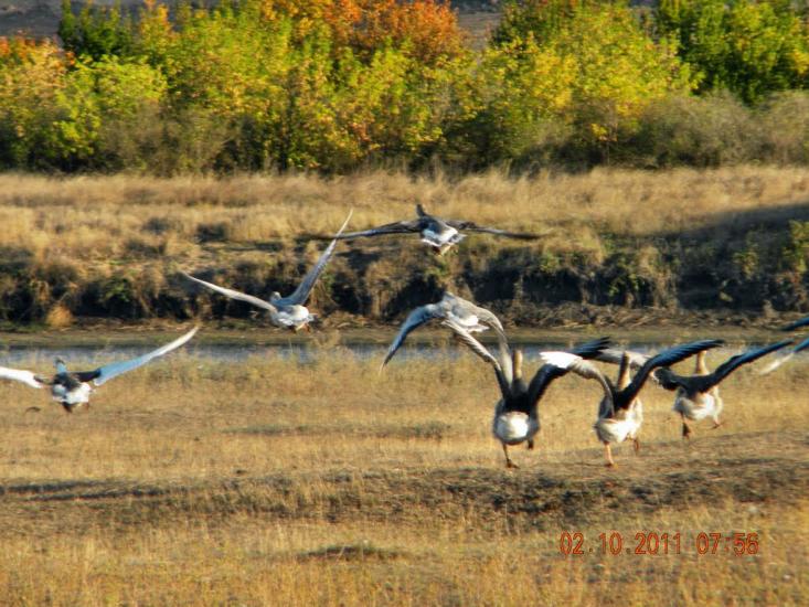 Василівка з panoramio.com - Васильевка