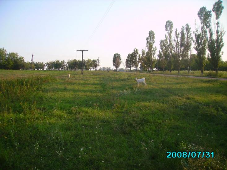 Гаврилівка з panoramio.com - Гавриловка