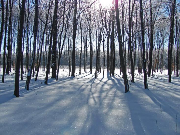 Черемошне з panoramio.com - Cheremoshne