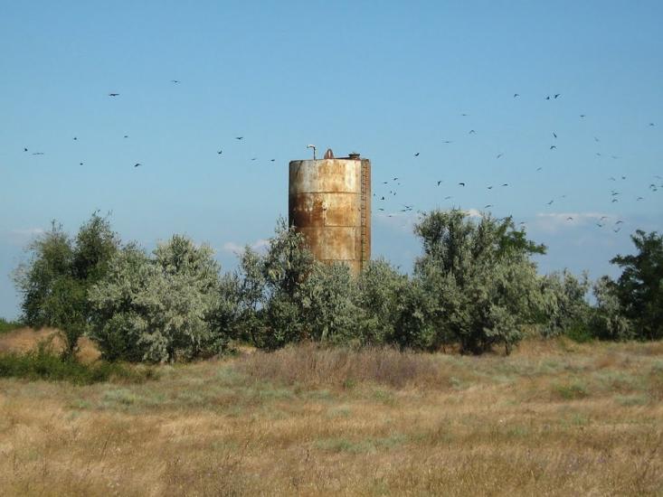 Аврора з panoramio.com - Аврора