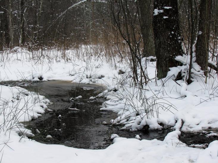 Острівськ з panoramio.com - Островск