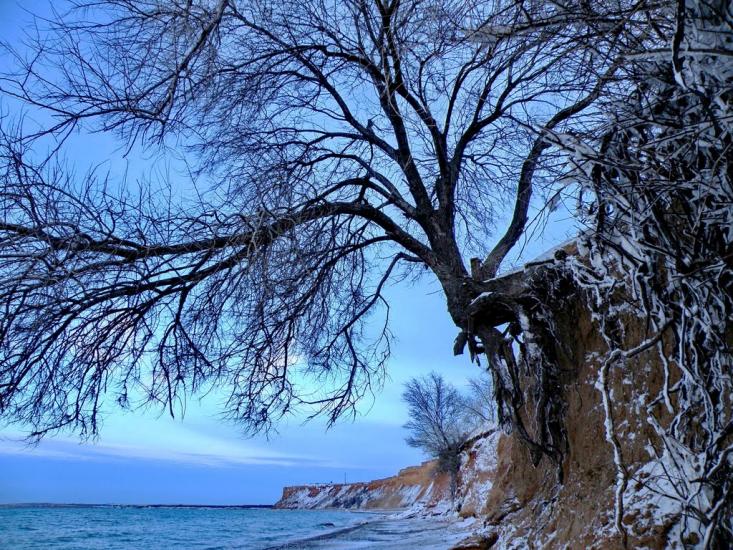 Андріївка з panoramio.com - Andriyivka