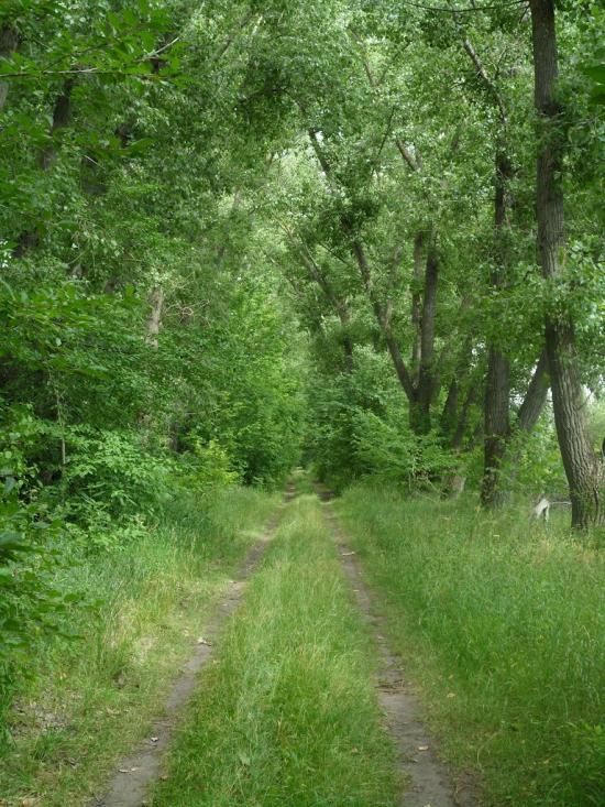 Новофастів з panoramio.com - Новофастов