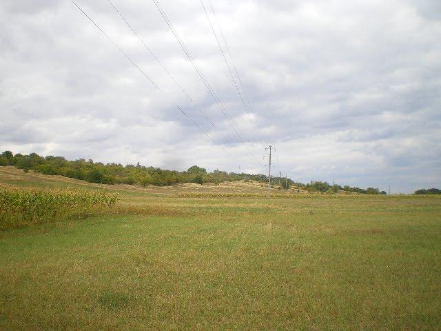 М'якеньківка з panoramio.com - Мякеньковка