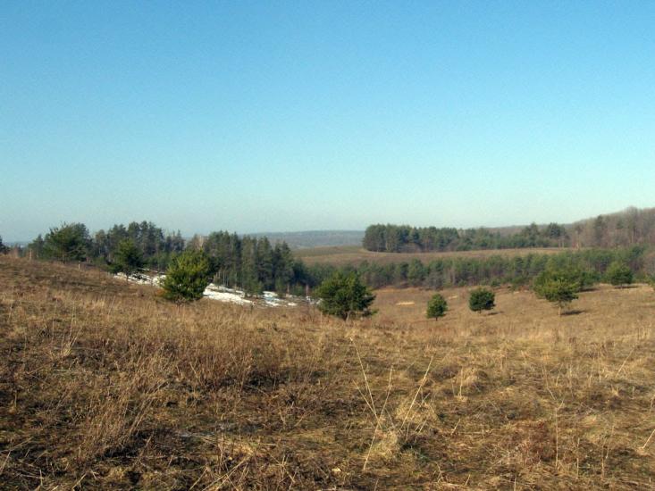 Битиця з panoramio.com - Битица