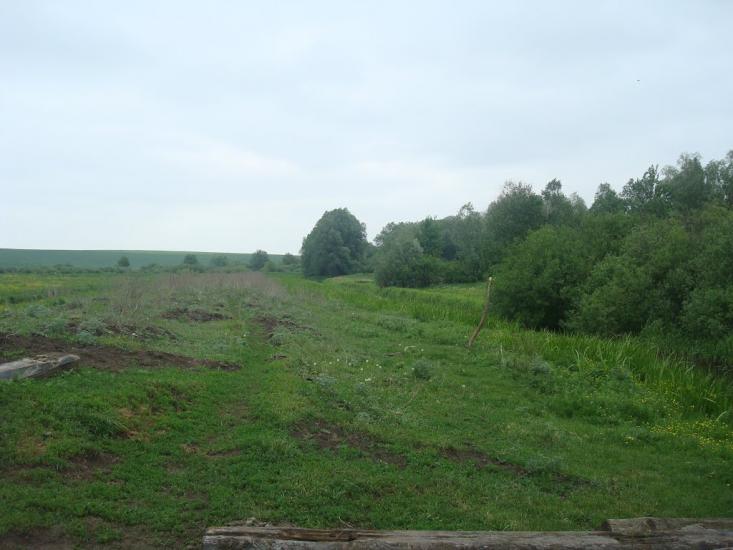Малашівці з panoramio.com - Малашевцы