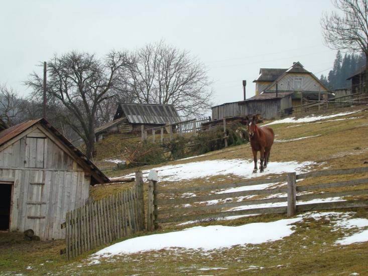 Красник з panoramio.com - Красник