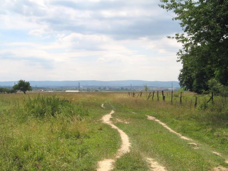 Рихтичі з panoramio.com - Rykhtychi