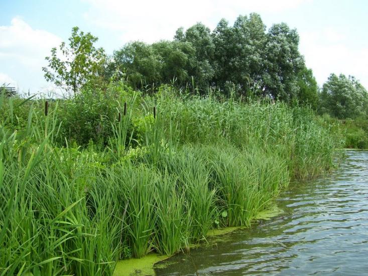 Бистре з panoramio.com - Бистре