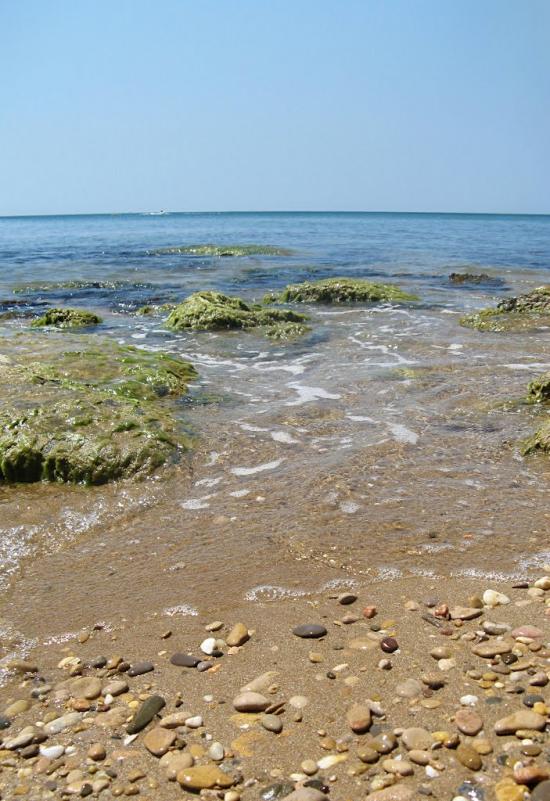 Осипенко з panoramio.com - Осипенко