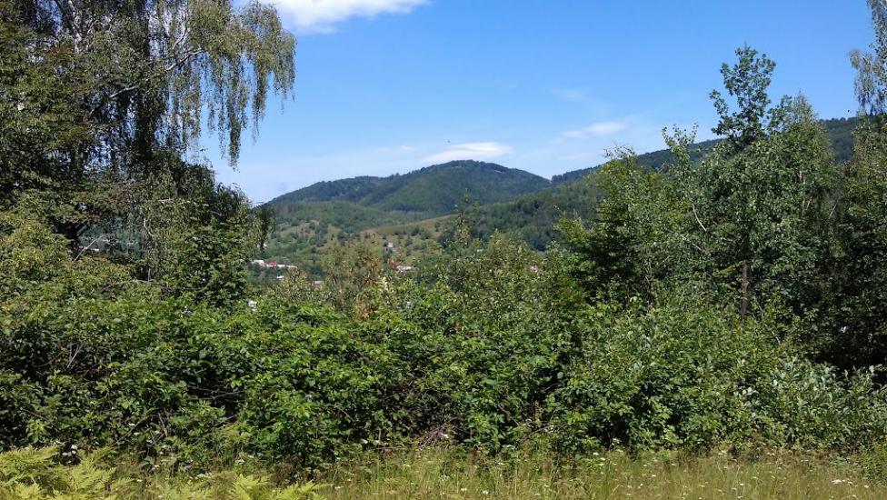 Прокурава з panoramio.com - Прокурава