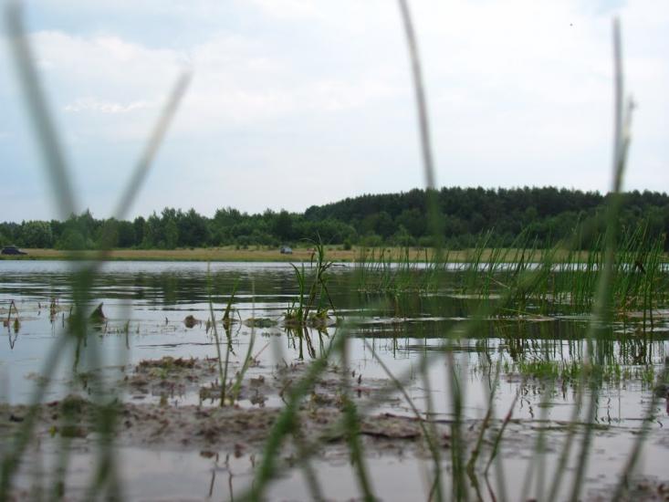 Дернаки з panoramio.com - Дернаки