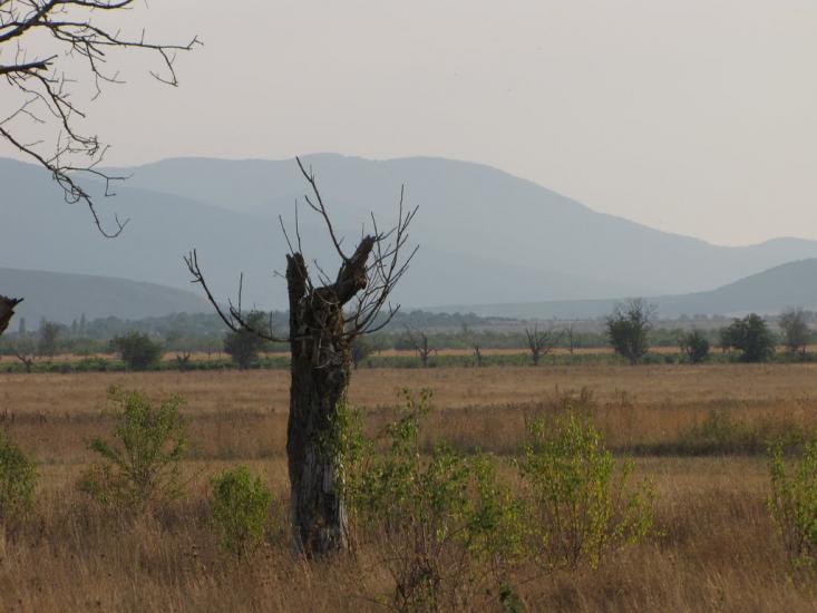 Первомайське з panoramio.com - Первомайське