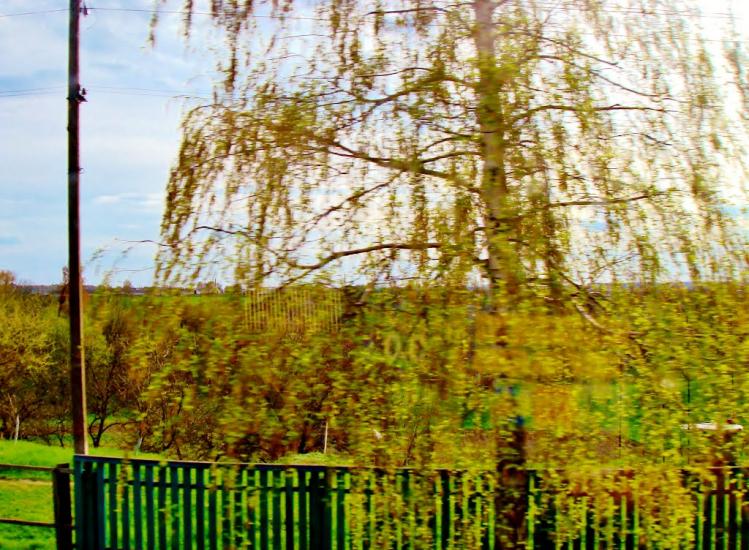 Лук'янівка з panoramio.com - Лук'янівка