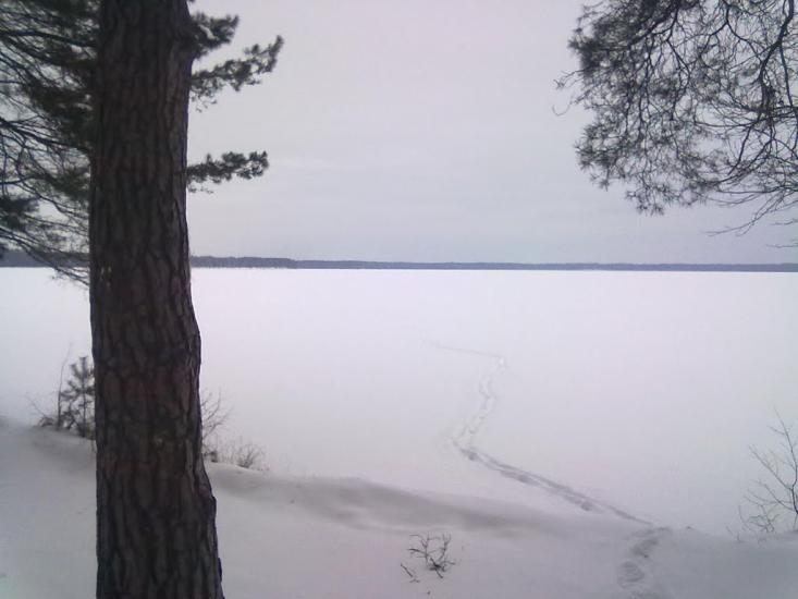 Рудка з panoramio.com - Рудка