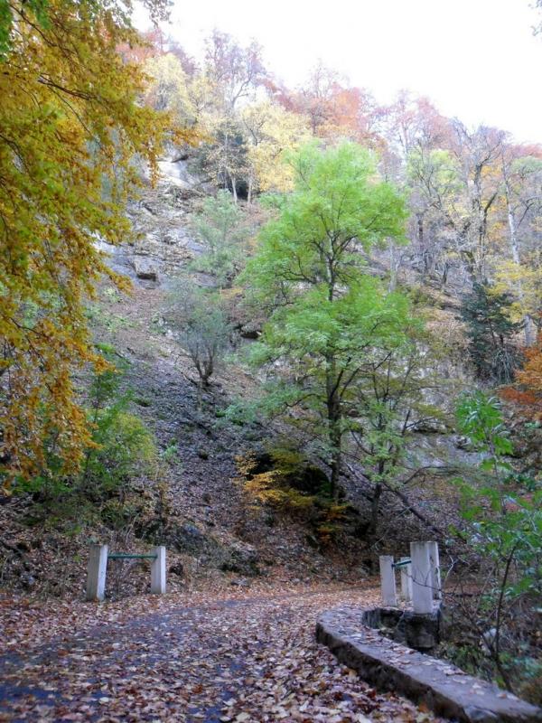 Підгородне з panoramio.com - Подгороднее