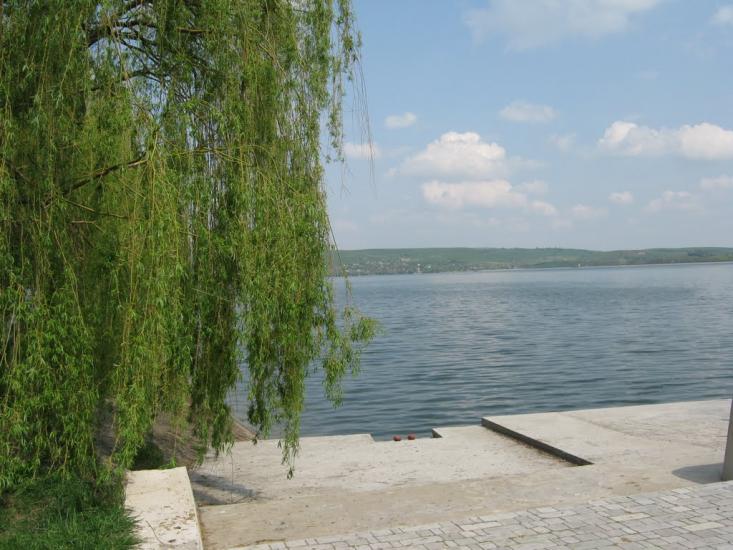 Бовшів з panoramio.com - Бовшов