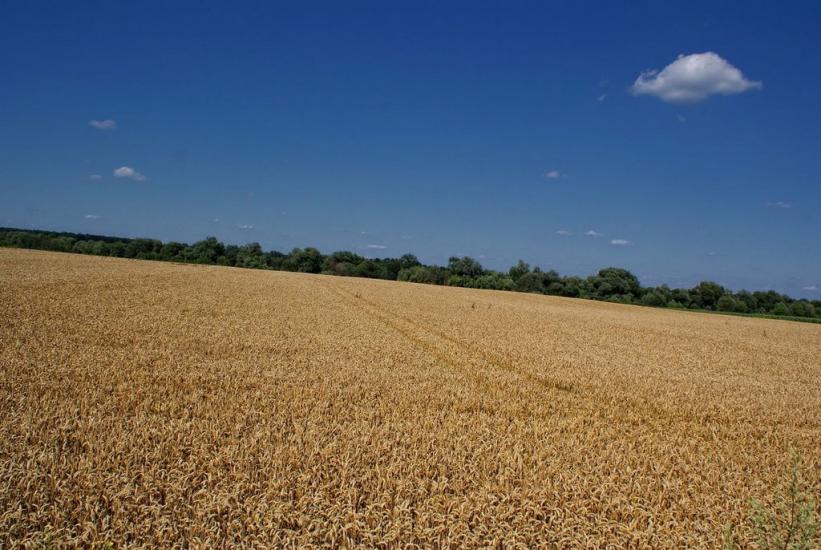 Устилуг з panoramio.com - Устилуг