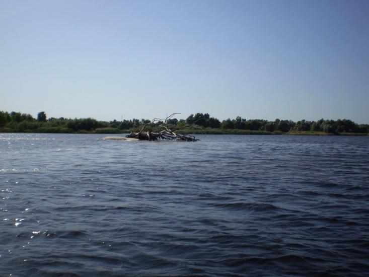 Прохорівка з panoramio.com - Прохорівка