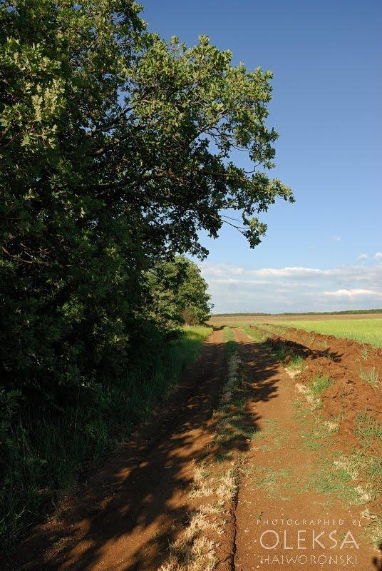 Вікторівка з panoramio.com - Викторовка