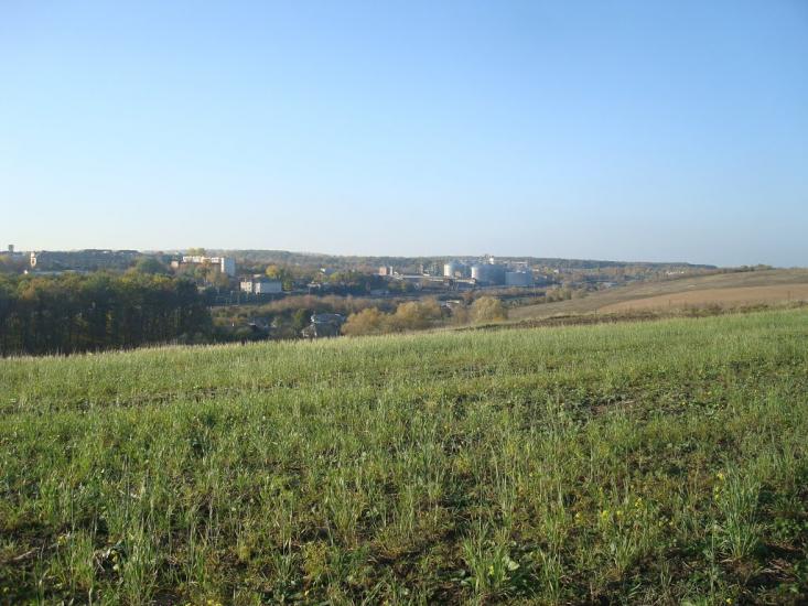 Томашівка з panoramio.com - Томашовка