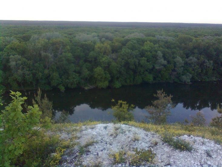 Стародубівка з panoramio.com - Стародубівка