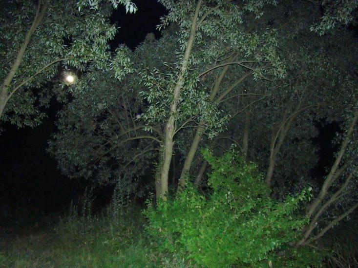 Пилипча з panoramio.com - Pylypcha