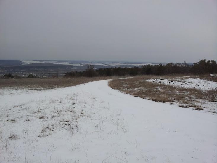 Каштанове з panoramio.com - Каштановое