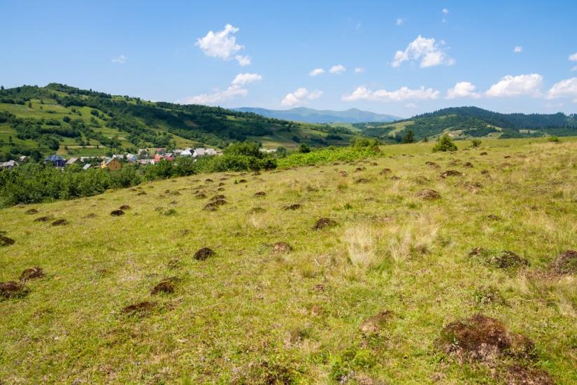 Репинне з panoramio.com - Репинне