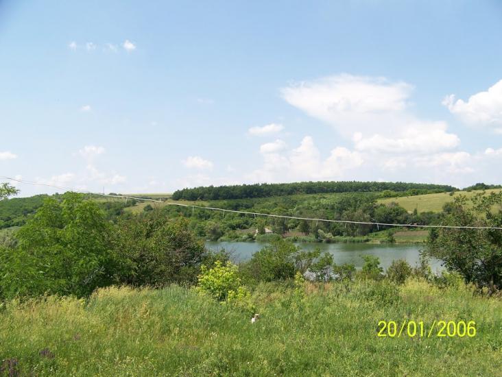 Талова Балка з panoramio.com - Талова Балка