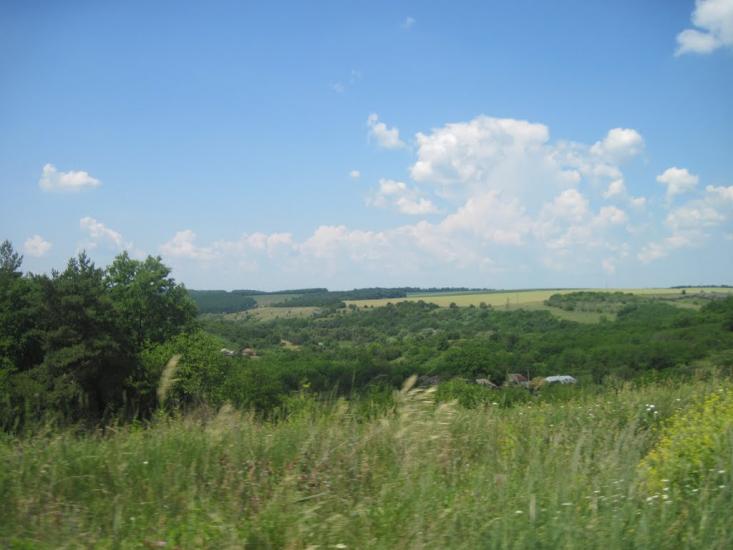 Талова Балка з panoramio.com - Талова Балка