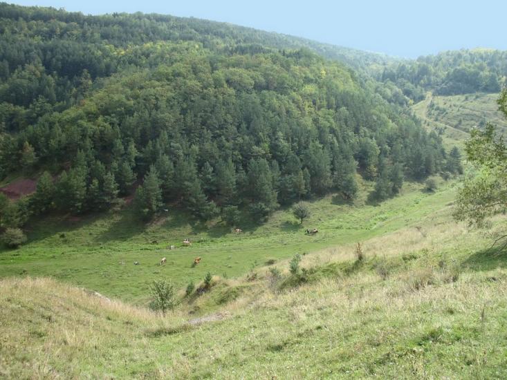 Стрільче з panoramio.com - Стрельче