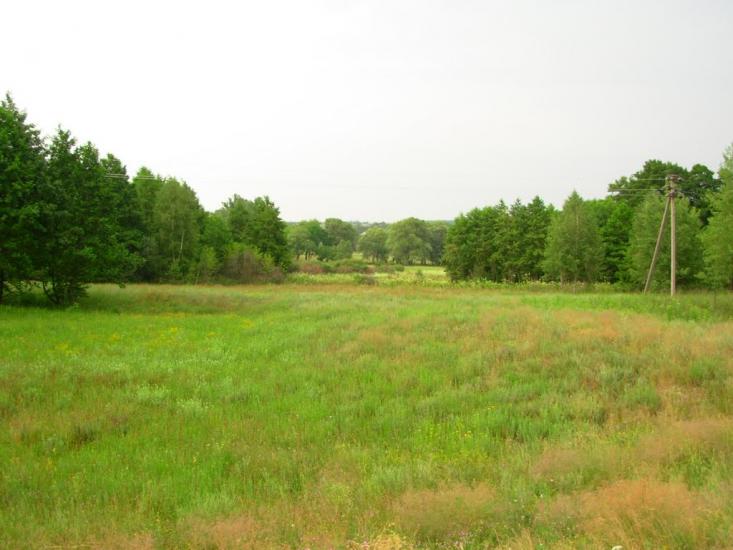 Солоницівка з panoramio.com - Solonytsivka