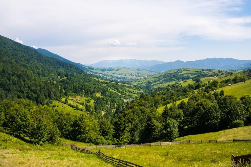 Стригальня з panoramio.com - Стригальняя