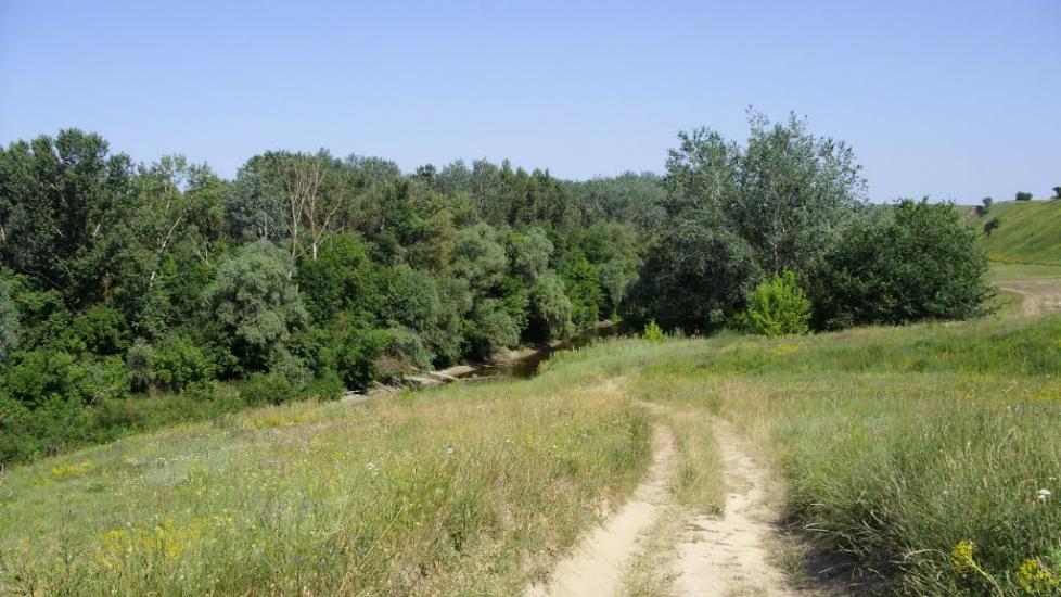 Приліпка з panoramio.com - Прилипка
