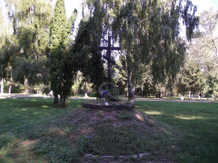 Узин з panoramio.com - Uzyn