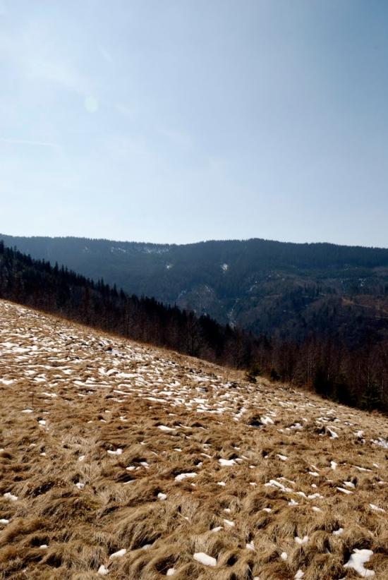 Букове з panoramio.com - Букове