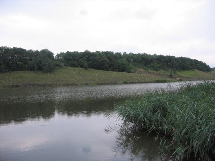 Питомник з panoramio.com - Питомник