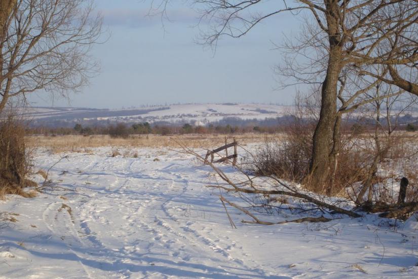 Ценява з panoramio.com - Ценява